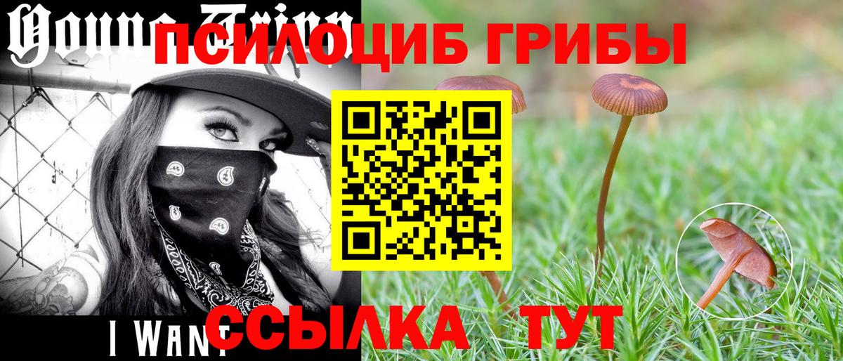 Татарск  Псилоцибиновые грибы ЛСД  Вход с VPN 