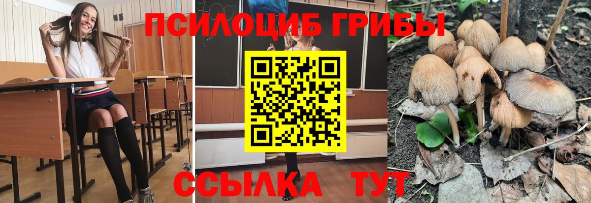 Галлюциногенные грибы прущие грибы Татарск